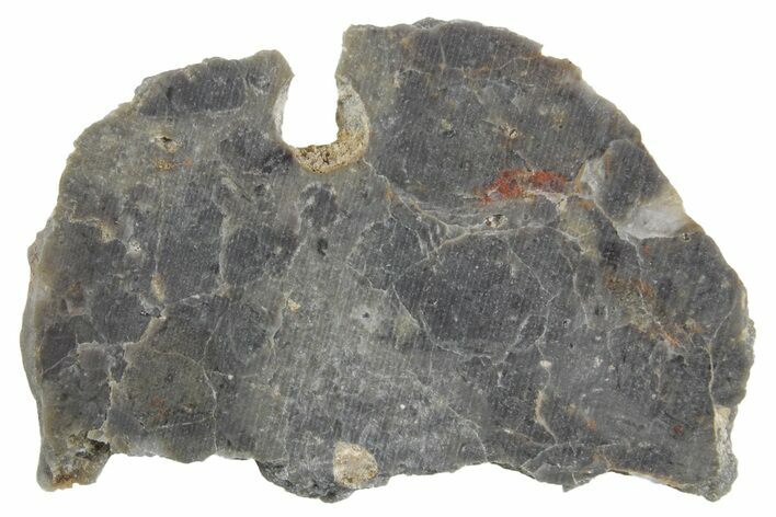 Lunar Meteorite Slice ( g) - NWA #360343